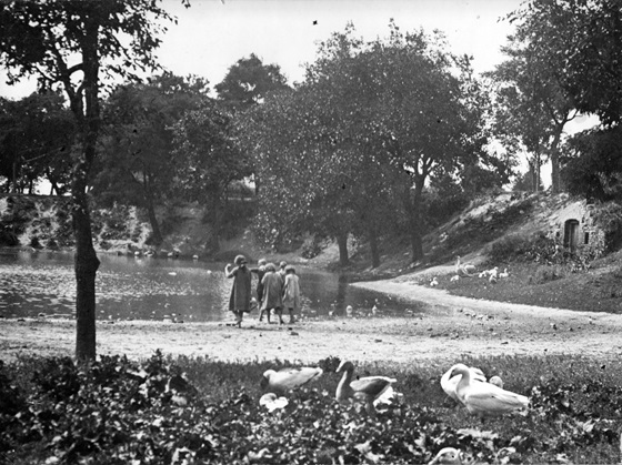 Schwemme am Bernreiterplatz, um 1900